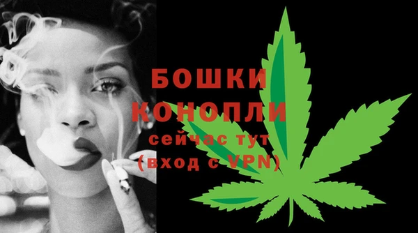 МДПВ Горняк