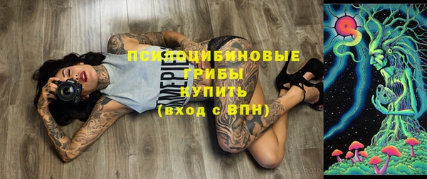 дживик Горно-Алтайск