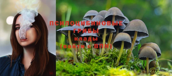 спайс Белая Калитва