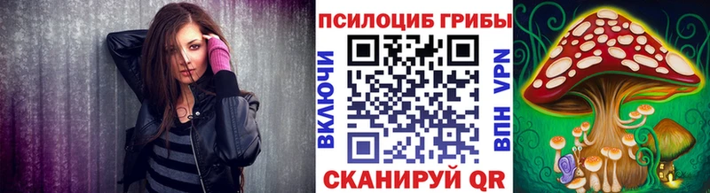 Псилоцибиновые грибы прущие грибы  OMG маркетплейс  Городец 