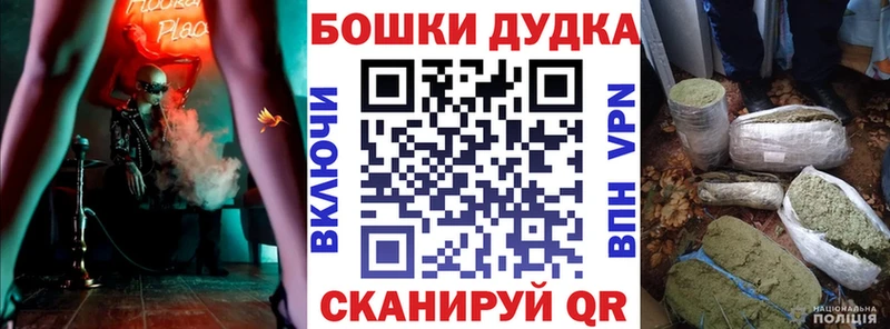 Каннабис сатива  блэк спрут   Городец 
